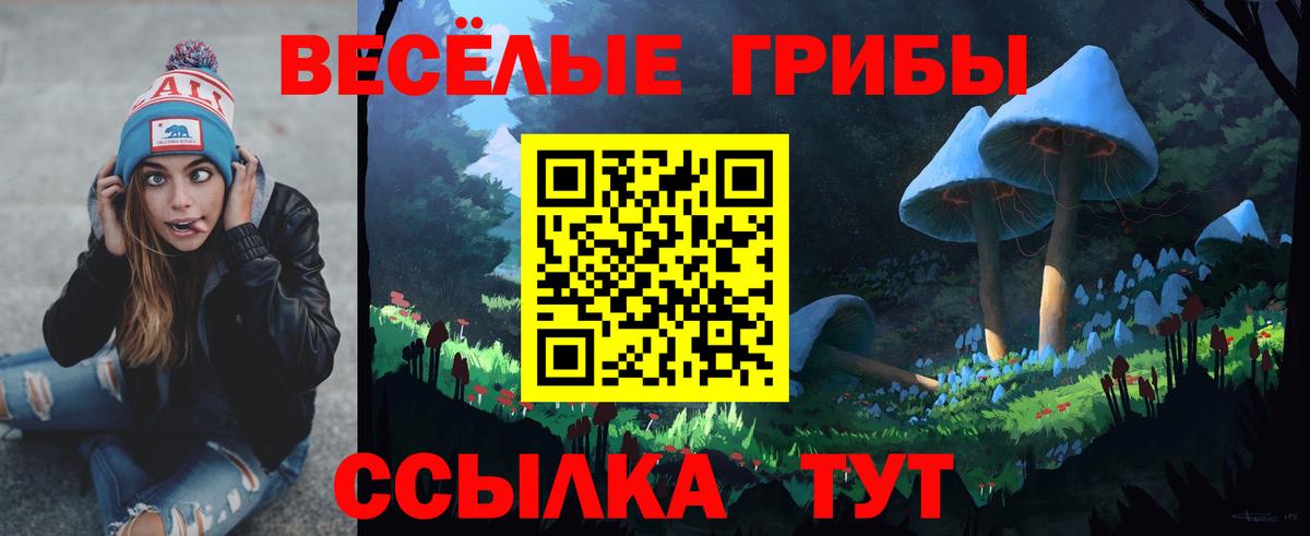 Псилоцибиновые грибы прущие грибы  Вход с VPN  Галлюциногенные грибы прущие грибы  Можга 